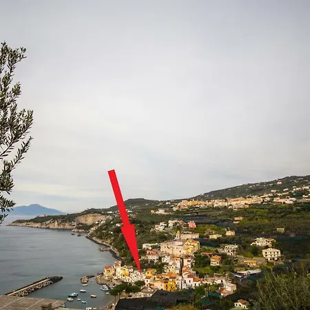 Azzurra